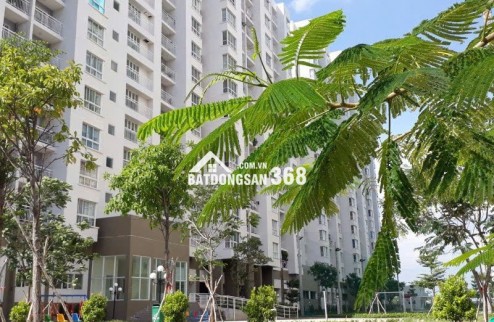 Cho thuê căn hộ đường Nguyễn Văn Linh.